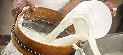 AGRO-FOOD INDUSTRY