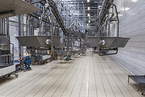 Pavimenti in Klinker Antiacido per l'industria agroalimentare