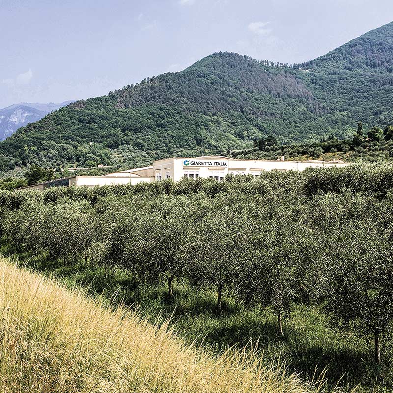Giaretta Italia srl sede
