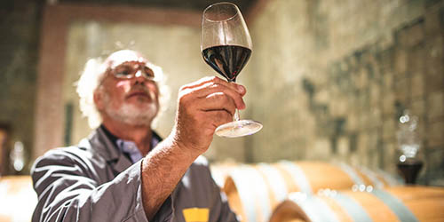 Pavimento e Rivestimento per Cantina